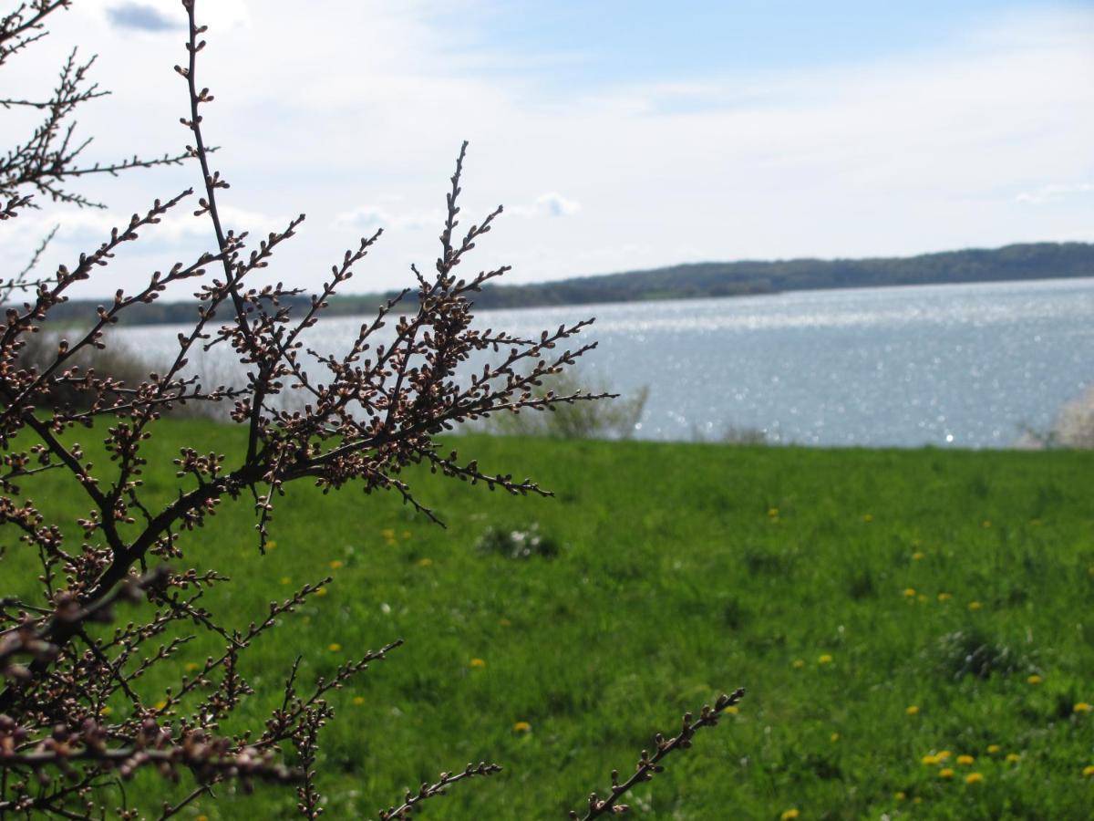 Tisvildehegn Bandb Helsinge Dış mekan fotoğraf